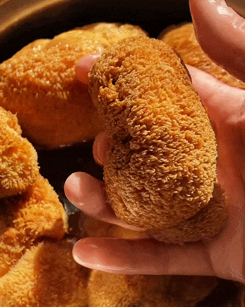 Organic Dried Lion's Mane Mushroom