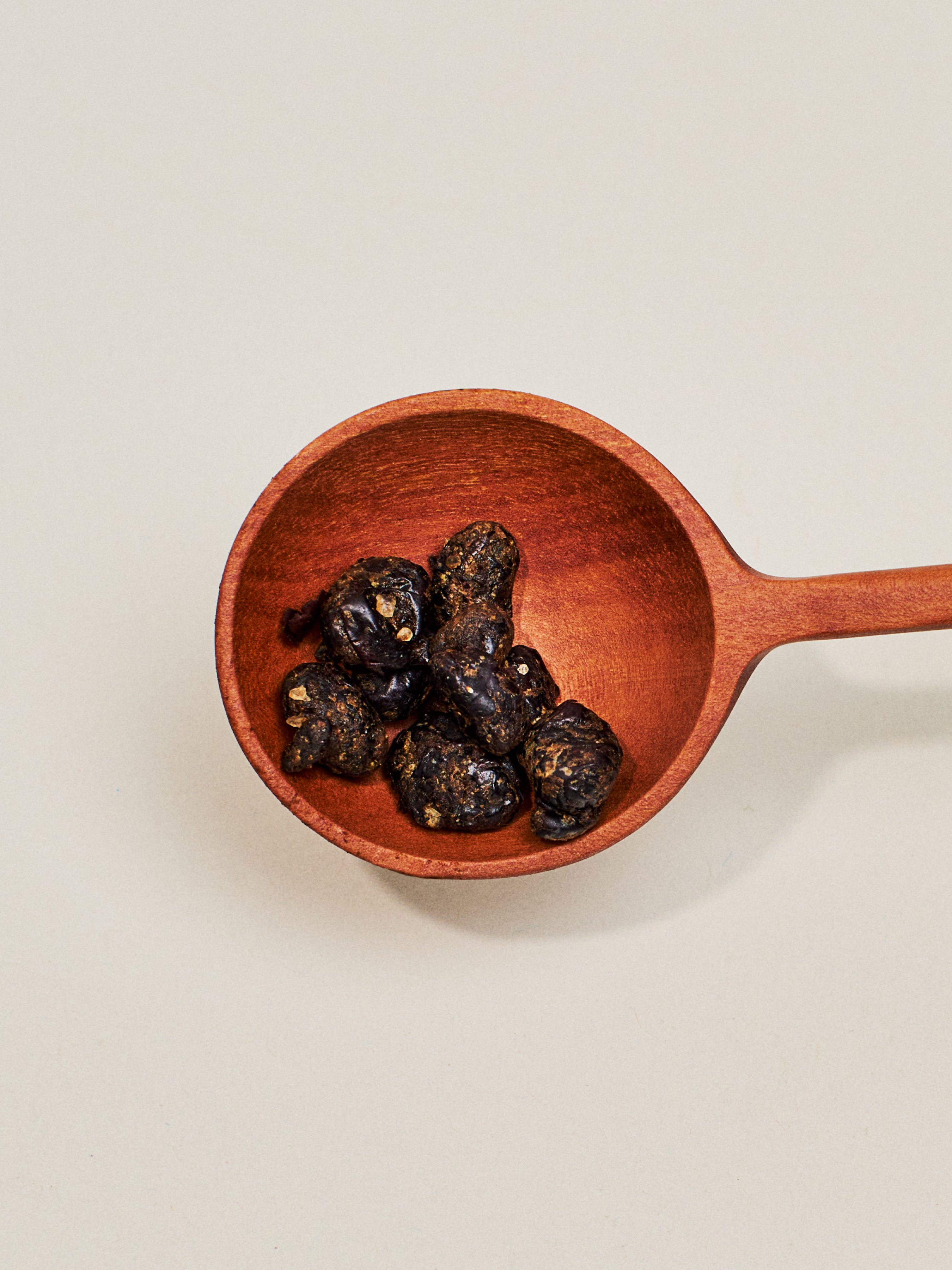 Fermented Black Beans
