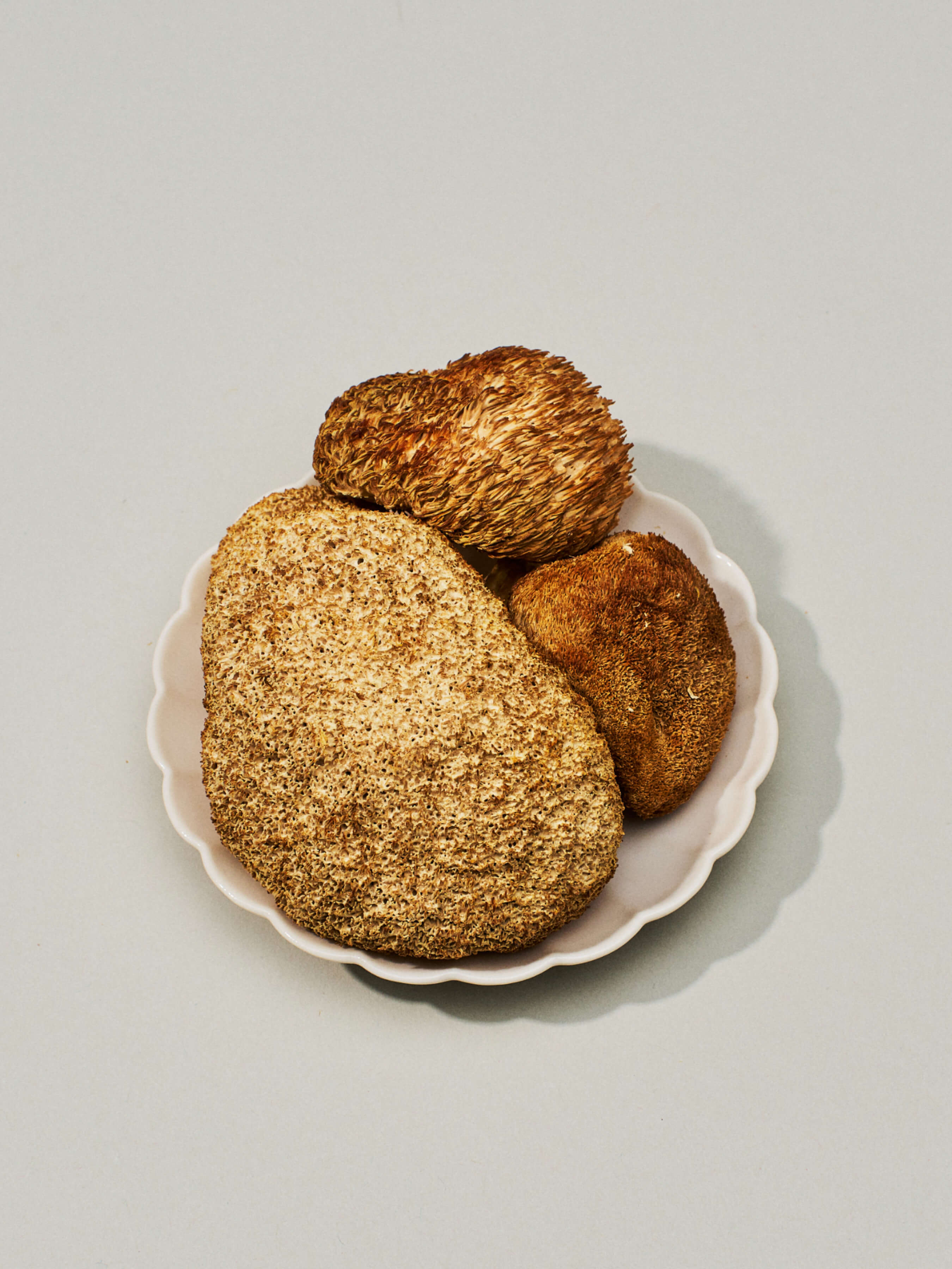 Organic Dried Lion's Mane Mushroom