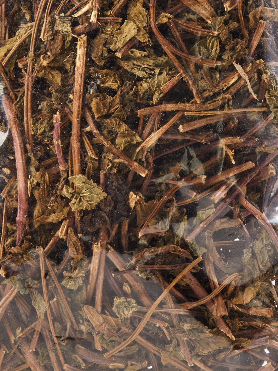 Organic Grass Jelly Herb (Mesona)