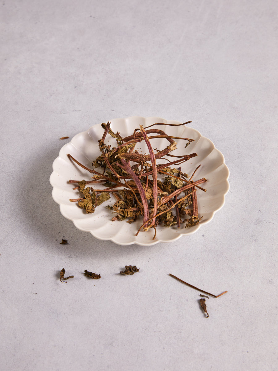 Organic Grass Jelly Herb (Mesona)