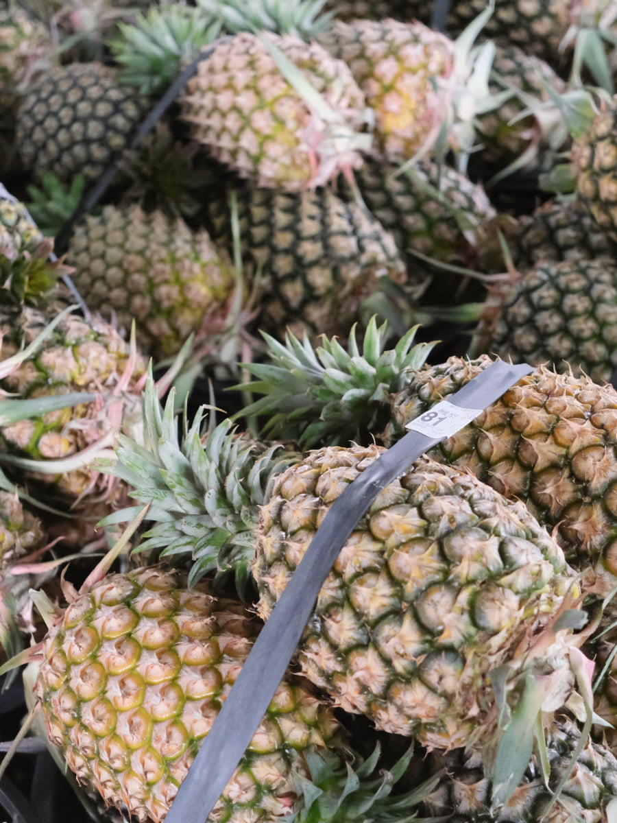 Yun Hai Selection Dried Fruit: Golden Diamond Pineapple