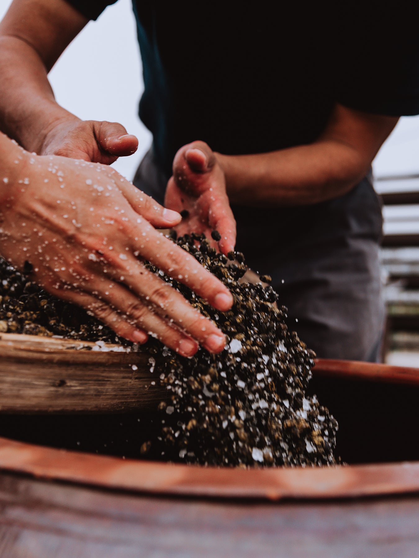 Fermented Black Beans