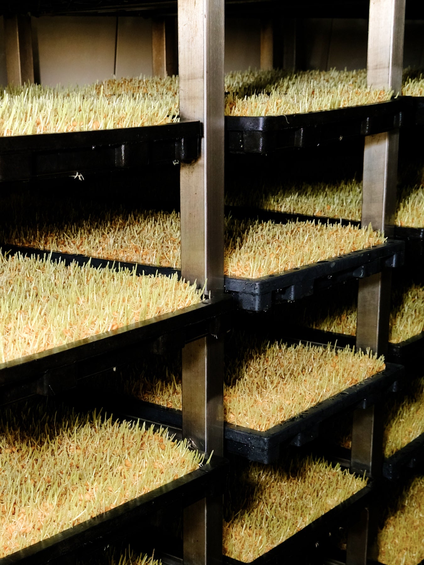 Wu Yin Seasoned Rice Vinegar