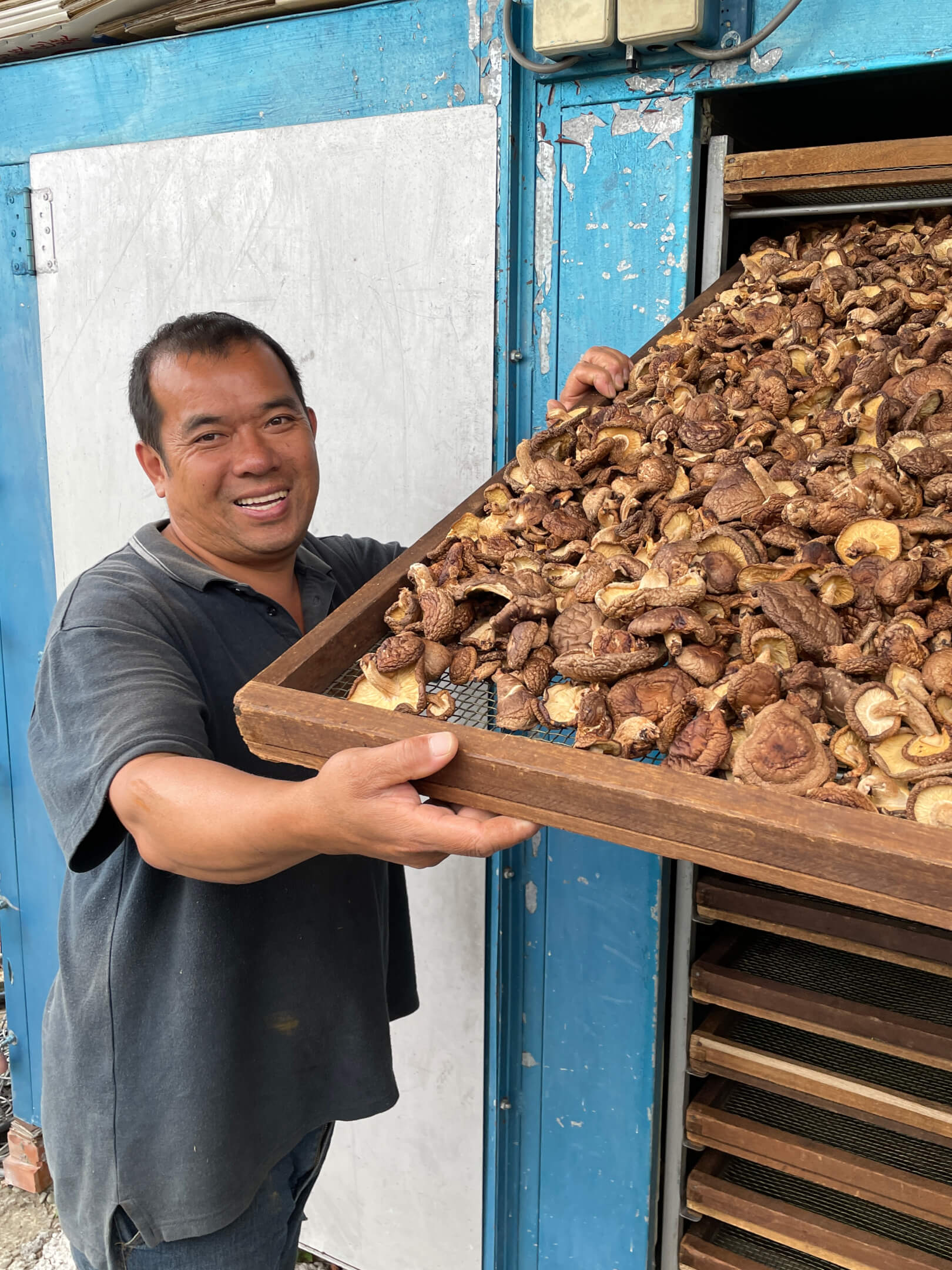 Organic Dried Shiitake Mushroom (Log-Grown)