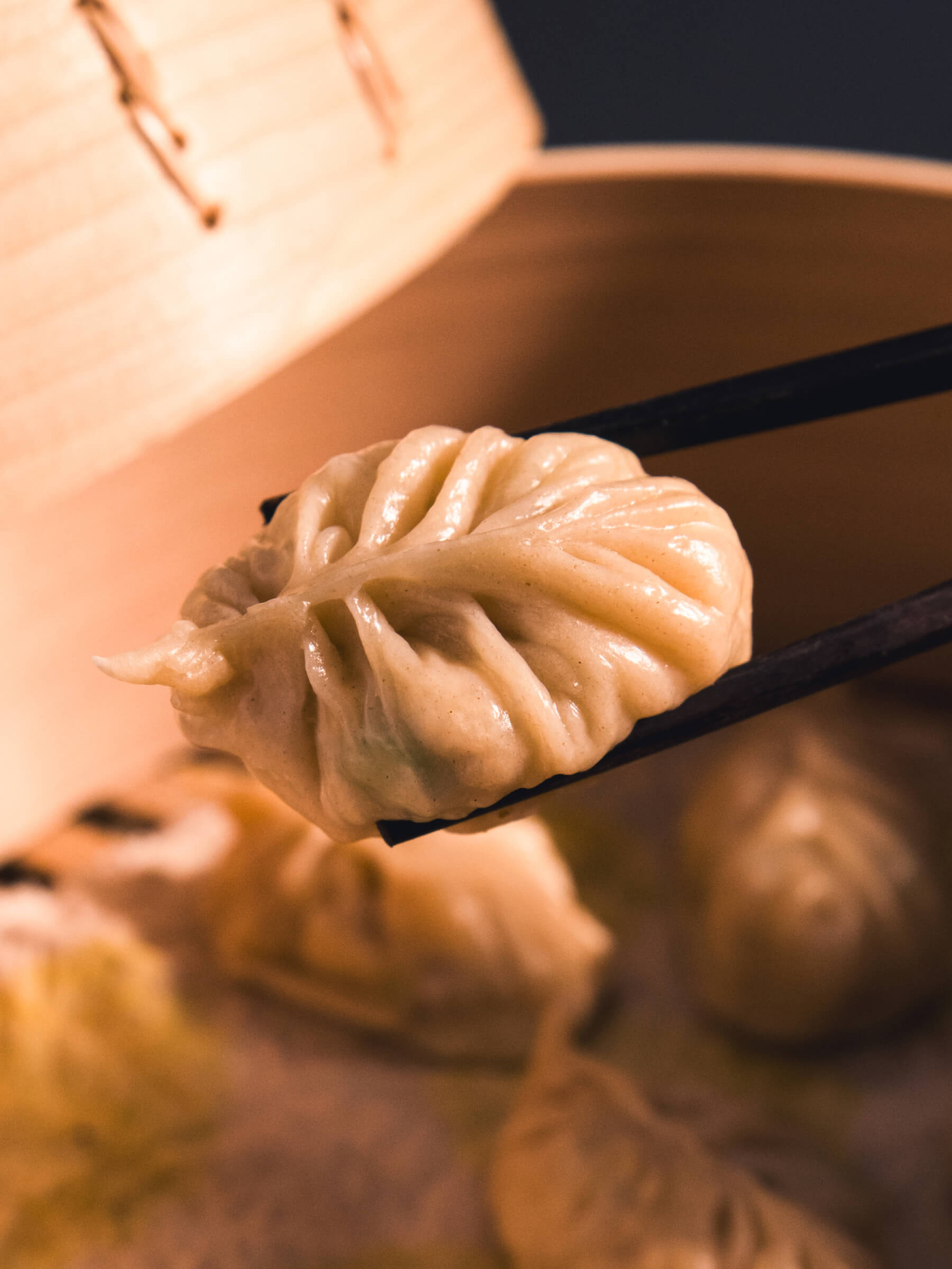 Yun Hai x The Dumpling Club: Bloom and Blossom Dumpling Bundle