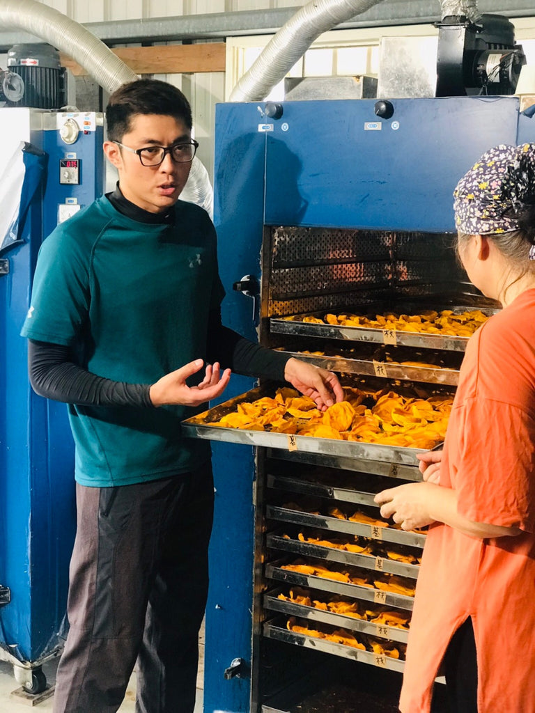 Yun Hai Selection Dried Fruit: Irwin Mango